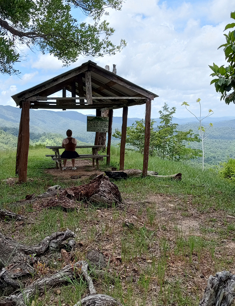 Victoria's peak view